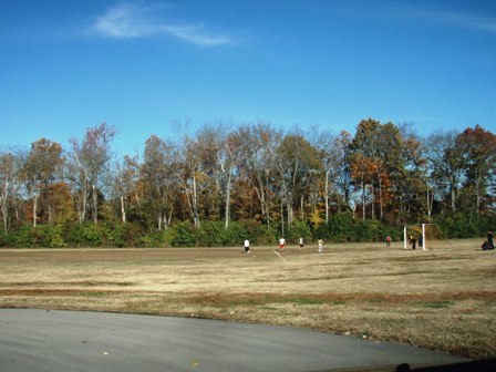 Seven Mile Creek, Wentworth Caldwell, and Willliam Whitfield Parks: A Review